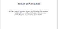 Primary 6 Curriculum