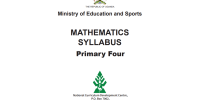 P.4 Math Curriculum